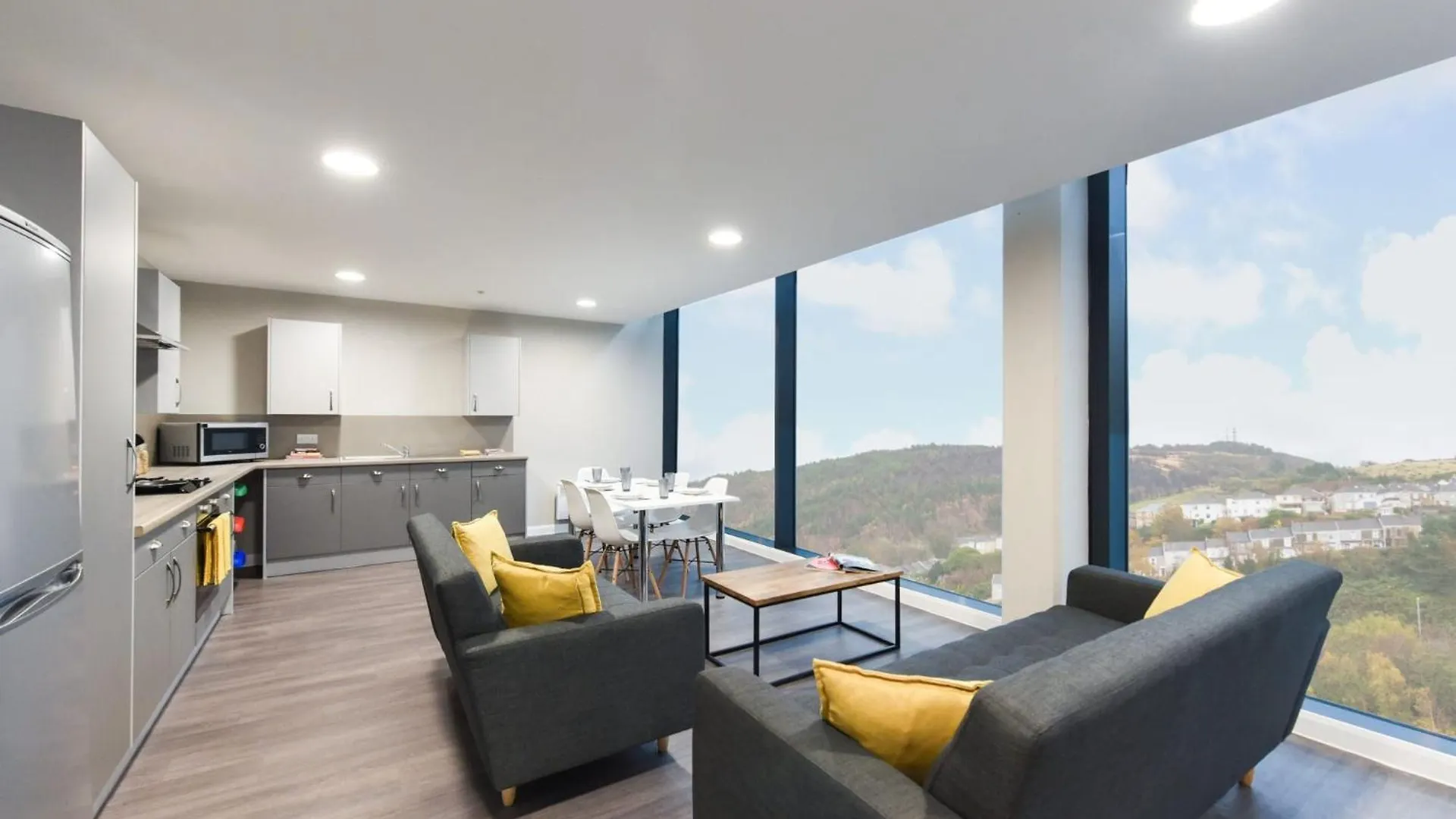 Students Only - St Davids In Swansea Apartment